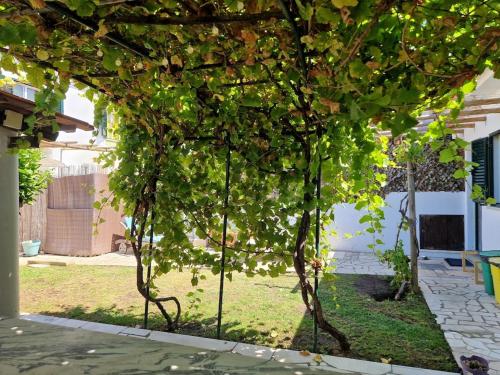 Vine Garden Villa