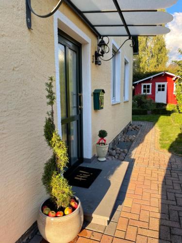 Am Apfelbaum, ein Ferienhaus zwischen Rhein und Mosel