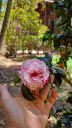 Casa 4 dorms 2 suites - localização perfeita no centrinho e rodeada de natureza