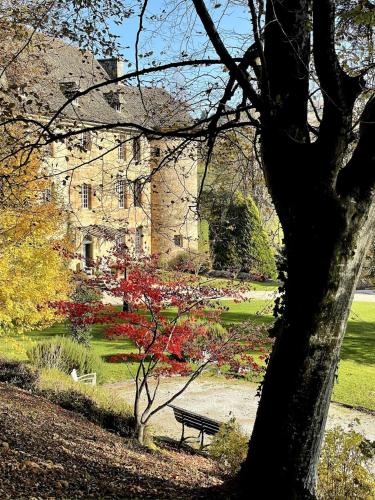 Castle in the beautiful French countryside with all modern comfort