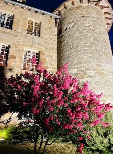 Castle in the beautiful French countryside with all modern comfort