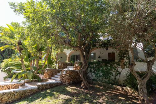 Casa Algarrobo