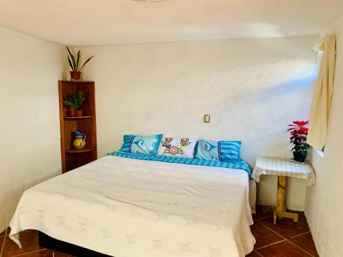 Casa Rústica Casa Rústica