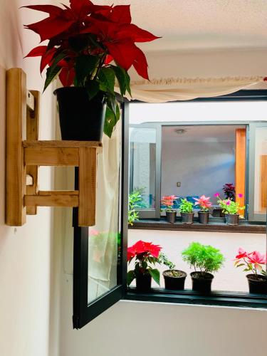 Casa Rústica Casa Rústica