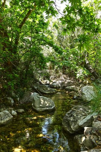 Aspros Potamos - image 13