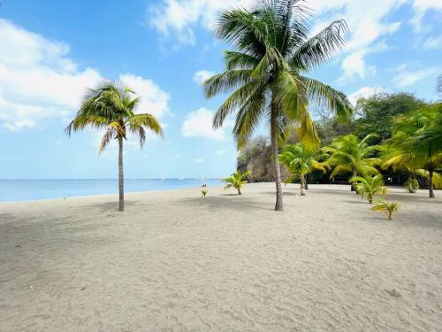 T2 avec parking - entièrement climatisé - Chez Élo (T2 avec parking - entierement climatise - Chez Elo) in Schœlcher
