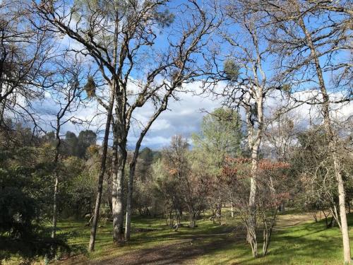 Surrounding environment, Foothill Acres in Midpines (CA)