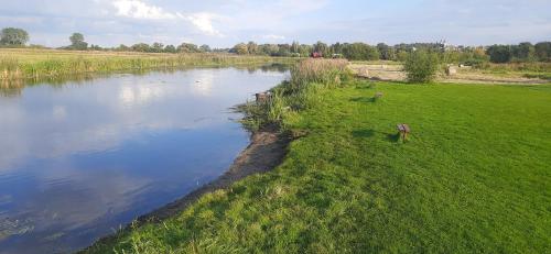 POLE NAMIOTOWE nad rzeką BIEBRZA w GONIĄDZU