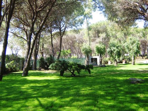 Residence Baia Delle Palme - image 10
