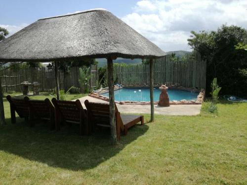 Swimming pool, Ngwenkala Game Lodge and Safaris in Macleantown