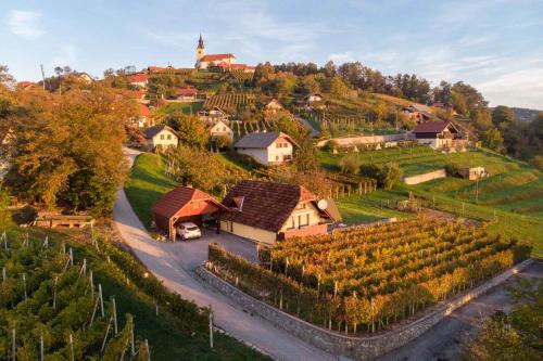 . Holiday home in Novo Mesto - Dolenjska Bela krajina Unter- Weißkrain 42895