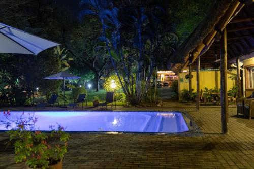 Sunbird Lodge, Phalaborwa (fotografie 9)
