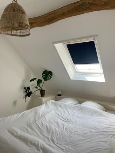 Appartement cosy et lumineux au cœur de Montreuil