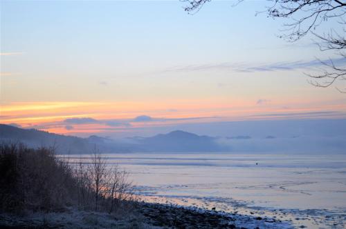 Springburn Cottage - image 8