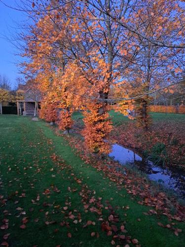 Domein Den Buiten Bed And Breakfast DnD