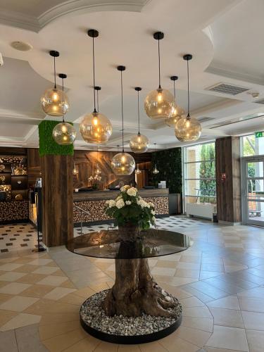 Thermal Hotel Visegrad Superior