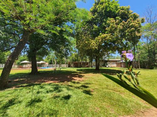 Cabañas Selva Verde