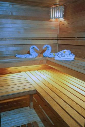 Sauna, Velem Spirit Apartment in Velem