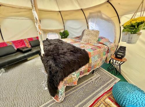 The Aries-a stargazing, luxury glamping tent in Rogersville (AL)