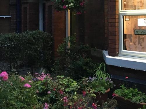 Burton Villa Guest House - main image
