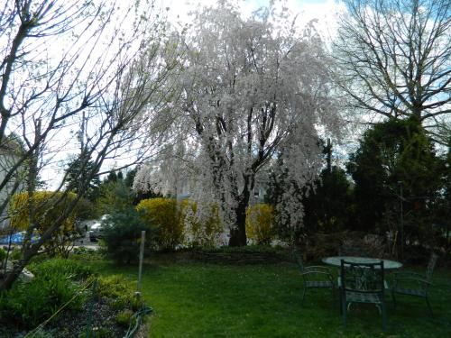 EJ Bowman House Bed & Breakfast in Lancaster, USA