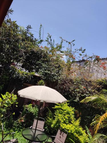 Calm hostel, Antigua Guatemala (fotografie 8)