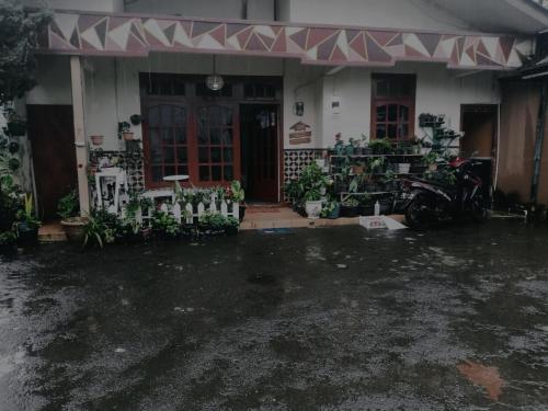 Kenanga Dieng full house