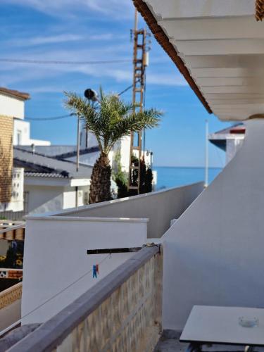 Hostal Alba - image 10