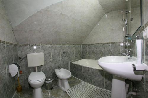 Pension Casa Timar - image 14