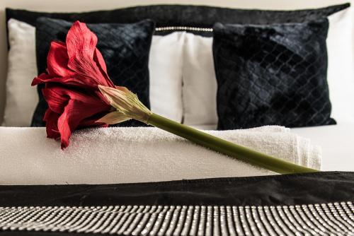 The Kyoto House - Spacious Cosy Bedrooms - image 9