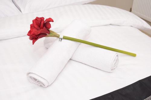 The Kyoto House - Spacious Cosy Bedrooms - image 3