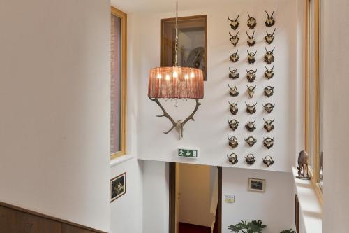 Haus Anna Apartments - image 11