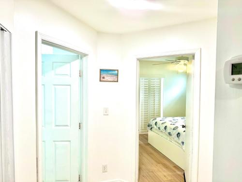 Seashell 2, Boynton Beach (zdjęcie 8)