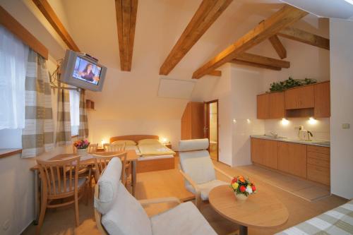 Dapur, Apartmány mlýn (Apartmany mlyn) in Rokytnice nad Jizerou