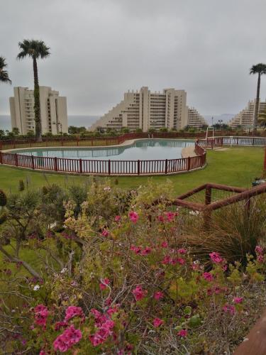 สวน, Departamento familiar in อัลการ์โรโบ