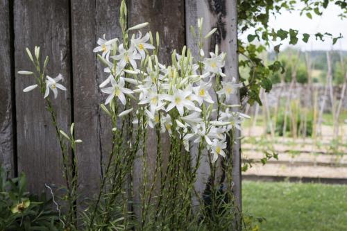 Posada El Prado Mayor - image 4