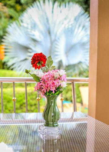 Filou Villas Filou Villas