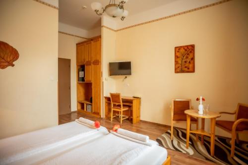 Hotel Manzard Panzio - image 12