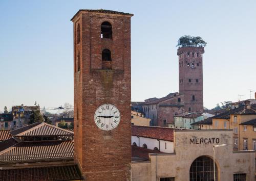 Altana Panoramic - image 7