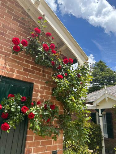 Rowan Brae Historic Guesthouse