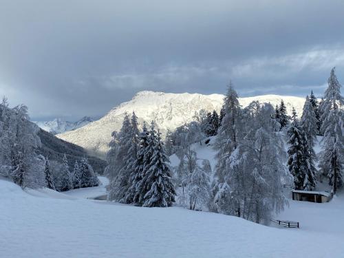 Ferienhaus Oetztal