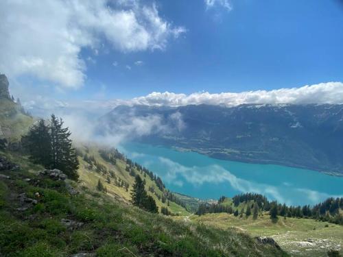 Chalet Mignon - your vacation oasis at Lake Brienz