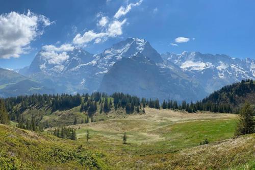 Chalet Mignon - your vacation oasis at Lake Brienz