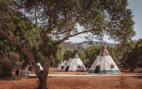 WAKANA LAKE CAMPS