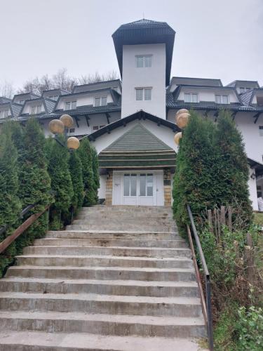 . BELE STAZE-Brzece,Kopaonik