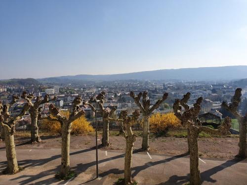 Appartement vue panoramique, sur les hauteurs de Lons - Location saisonnière - Lons-le-Saunier