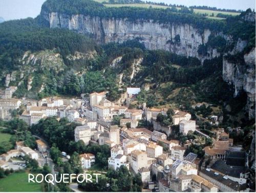 les palmiers des causses