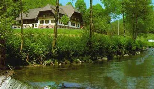Hotel Restaurant Ochsenwirtshof in Bad Rippoldsau-Schapbach, Deutschland