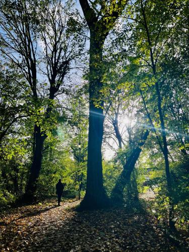 Okolí, Dapps Hill Haven - between Bristol and Bath, both 9 mins by train! in Keynsham East