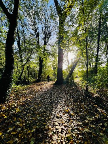 Okolí, Dapps Hill Haven - between Bristol and Bath, both 9 mins by train! in Keynsham East